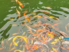-长洲岛都市农业公园