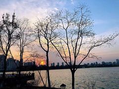 景观位-青鹤谷(苏州店)