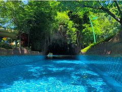 -苏州乐园森林水世界