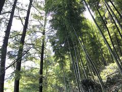 -莫干山风景区
