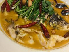 -清水亭湖北菜(大屯DT51店)