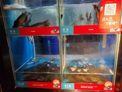 -鱼酷活鱼烤鱼(人信汇商场店)