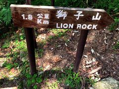 -狮子山郊野公园