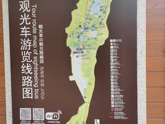 -中国西峡恐龙遗迹园