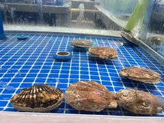 -大连湾旭日饭店(大连湾店)