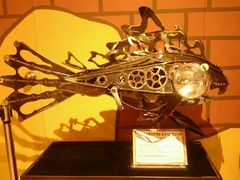 -信不信由你博物馆