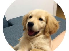 -爱侣宠医·鹦鹉专科·小型哺乳类·异宠专科(灵石路店)