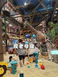 -卡通尼·Safari非洲探索乐园·生日会(金桥国际商业广场店)