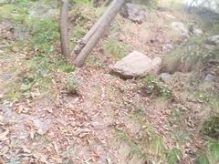 -云岫谷自然风景区