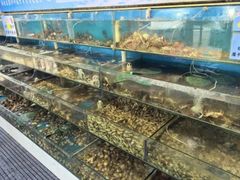 -仙螺岛海鲜自助餐厅(总店)