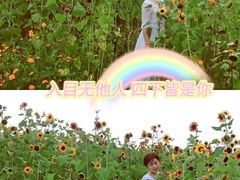 -映月湖中央公园