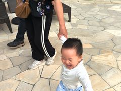 -澳门十六浦索菲特大酒店