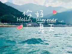 -杨梅坑