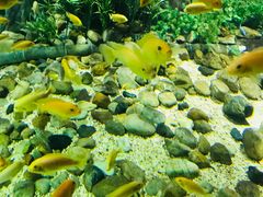 -福州罗源湾海洋世界旅游区