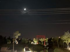 -大队长大灶鹅