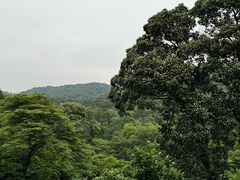 -广州市白云山风景名胜区