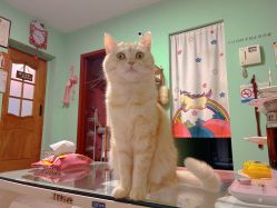 -齐伽生活馆·瑜伽·普拉提·阿育吠陀