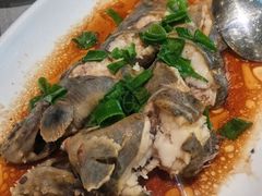 -大锅强·蒸海鲜青岛菜(吾悦广场店)