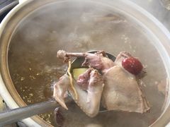五指毛桃药膳乳鸽-鸽鸟轩(石岐店)