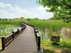 -梁鸿国家湿地公园