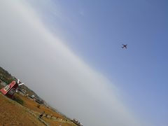 -空港花田景区