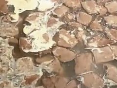 -大邑李记肥肠血旺