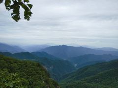 -牛背梁国家森林公园