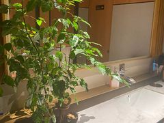-柴门头啖汤·经典川菜·慢火汤品(锦城万达店)