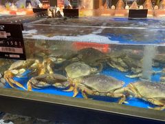 -炊江南·上海菜(国展华漕店)