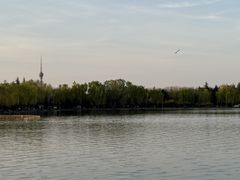 -洛阳市隋唐城遗址植物园