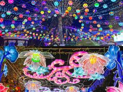 -国色天乡三期陆地乐园