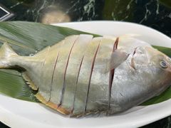 -小海豚•老字号海鲜餐厅(天涯店)