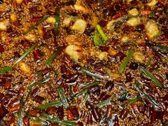 -胖子鱼·天水麻辣鱼火锅(秦州407店)