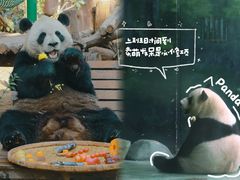 -五龙山野生动物王国