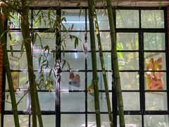 -胶囊画廊
