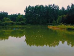 -仁和公园(顺义区)