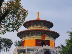 -铁山坪森林公园
