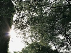 -老门东历史文化街区