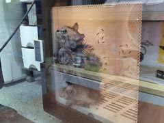 -宠物家(大兴旧宫店)