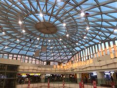 -高新活力汇Vitality