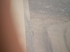 -汉景帝阳陵博物院