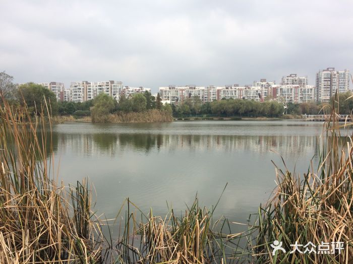 新江湾城公园图片