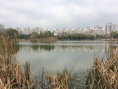 -新江湾城公园