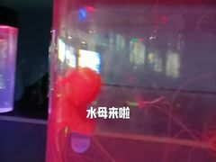 -苏州海洋馆