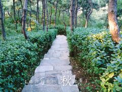 -北京张裕爱斐堡酒庄