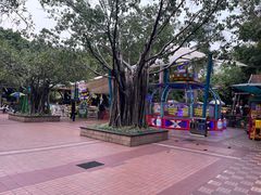 -东风公园