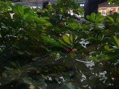 -蜀江春(科华北路店)