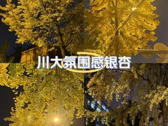 -四川大学(华西校区)