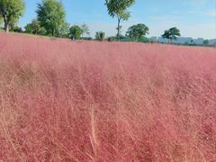 -汉长安城未央宫国家考古遗址公园