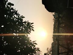 -南山植物园